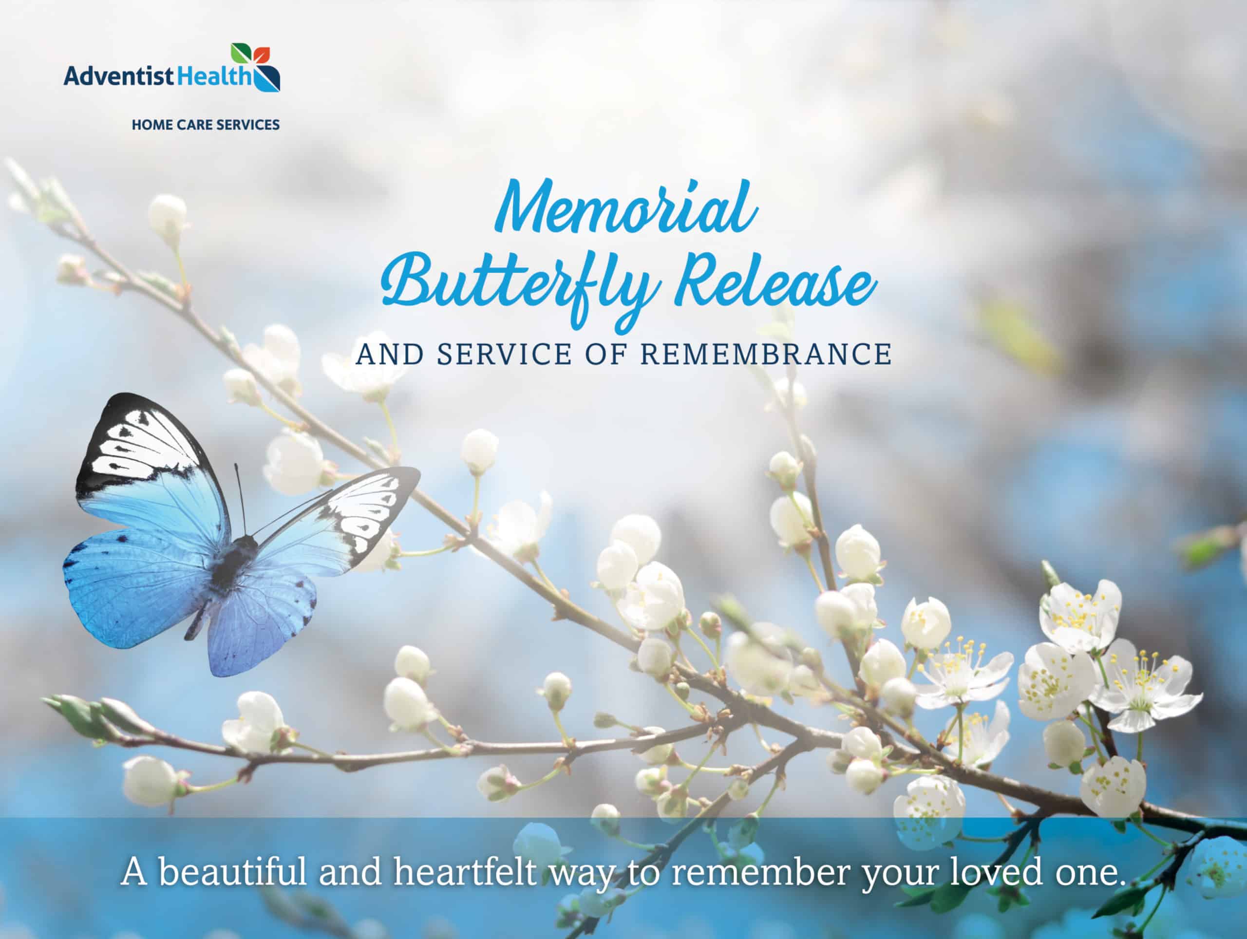 2023 Butterfly Release