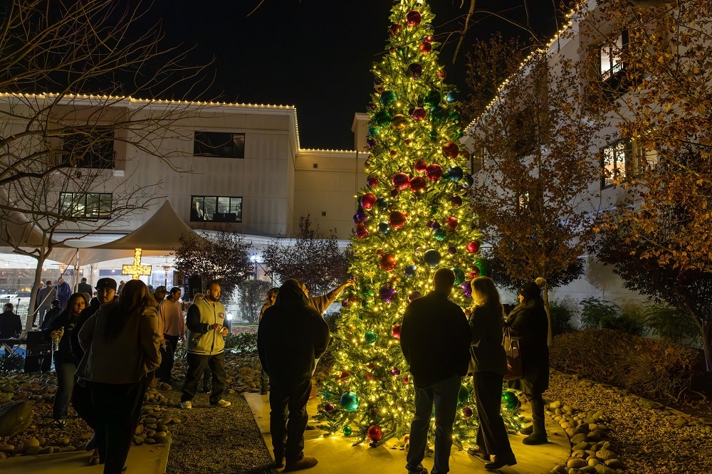 People look at a lit Christmas tree.