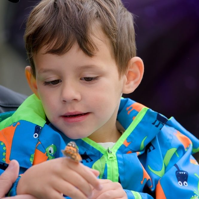 2025 Memorial Butterfly Release and Service of Remembrance
